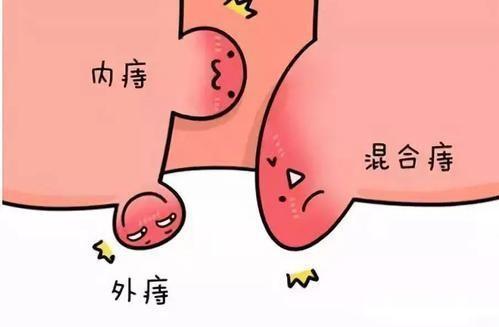 机构展示图